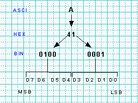 ovlMT4